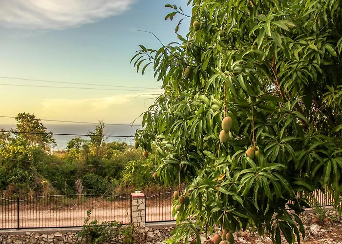 Sunshine Lodge: Your Away From Holiday home *