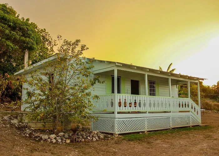 Holiday home Sunshine Lodge: Your Away From