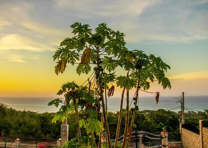 Holiday home Sunshine Lodge: Your Away From Montego Bay